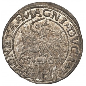 Sigismund II Augustus, Groschen 1567, Tiktin