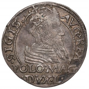 Sigismund II Augustus, Groschen for Poland 1566