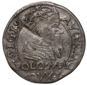 Sigismund II Augustus, Groschen for Poland 1566