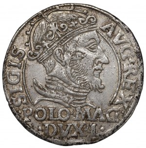 Sigismund II Augustus, Grossus 1548, Vilnius
