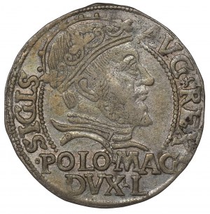 Sigismund II Augustus, Groschen 1547
