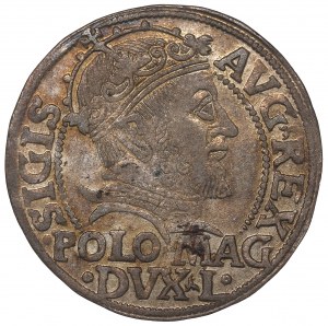 Sigismund II Augustus, Penny for the Polish foot 1546, Vilnius - L/LITVA