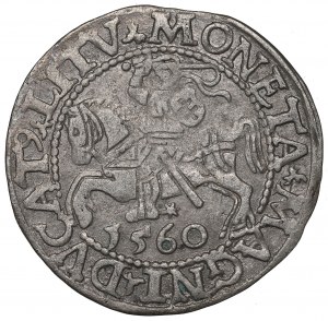 Sigismund II Augustus, Halfgroat 1560, Vilnius - L/LITV