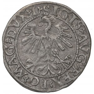 Sigismond II Auguste, demi-penny 1560, Vilnius - L/LITV
