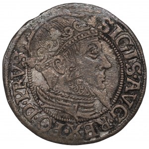 Sigismund II Augustus, Groschen 1557, Danzig