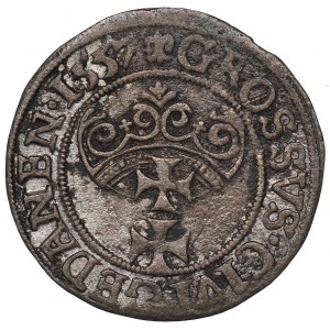 Sigismund II Augustus, Groschen 1557, Danzig