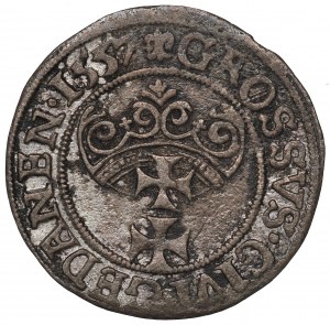 Sigismund II Augustus, Groschen 1557, Danzig