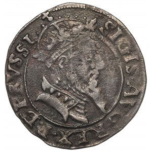 Sigismund II Augustus, Groschen 1556, Danzig