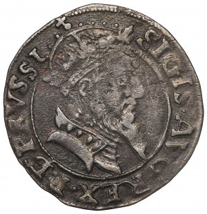 Sigismund II Augustus, Groschen 1556, Danzig