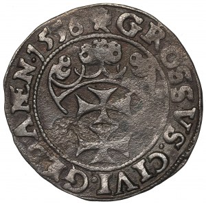 Sigismund II Augustus, Groschen 1556, Danzig