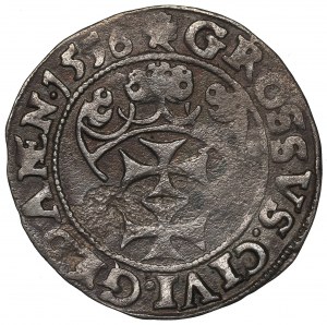 Sigismund II Augustus, Groschen 1556, Danzig