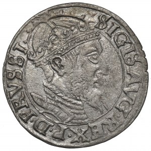 Sigismund II Augustus, Groschen 1556, Danzig