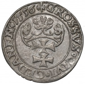 Sigismund II Augustus, Groschen 1556, Danzig