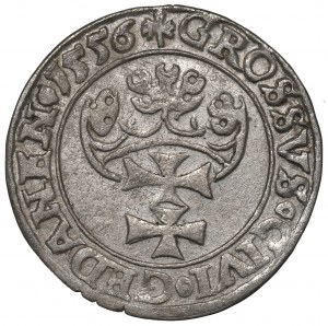 Sigismund II Augustus, Groschen 1556, Danzig