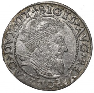 Sigismund II Augustus, Groschen 1559, Vilnius