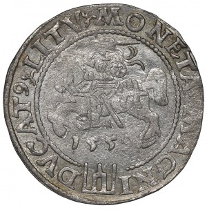 Sigismund II Augustus, Groschen 1559, Vilnius
