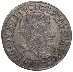 Sigismund II Augustus, Groschen 1555, Vilnius