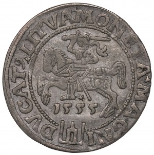 Sigismund II Augustus, Groschen 1555, Vilnius
