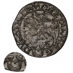 Sigismund II Augustus, Halfgroat 1566, Tiktin
