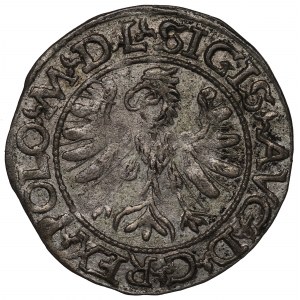 Sigismund II Augustus, Halfgroat 1566, Tiktin