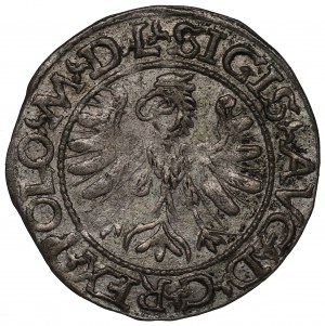 Sigismund II Augustus, Halfgroat 1566, Tiktin