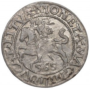 Sigismund II Augustus, 1/2 groschen 1565, Vilnius - L/LITVA
