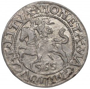 Sigismund II Augustus, 1/2 groschen 1565, Vilnius - L/LITVA