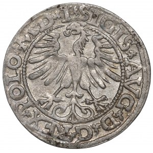 Sigismund II Augustus, 1/2 groschen 1565, Vilnius - L/LITVA
