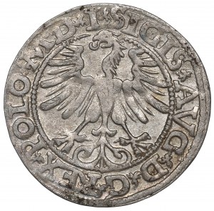 Sigismund II Augustus, 1/2 groschen 1565, Vilnius - L/LITVA