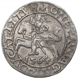 Sigismund II Augustus, Halfgroat 1564, Vilnius - L/LITV