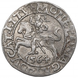 Sigismund II Augustus, Halfgroat 1564, Vilnius - L/LITV