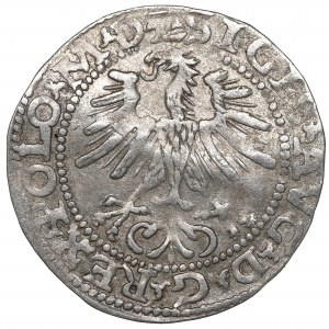 Sigismund II Augustus, Halfgroat 1564, Vilnius - L/LITV