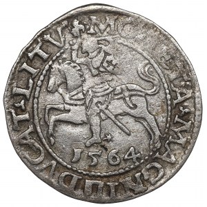 Sigismund II Augustus, Halfgroat 1564, Vilnius - L/LITV