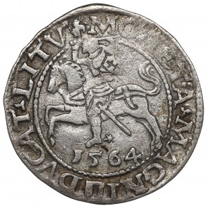 Sigismund II Augustus, Halfgroat 1564, Vilnius - L/LITV