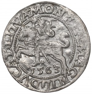 Sigismund II Augustus, Halfgroat 1563, Vilnius - L/LITV