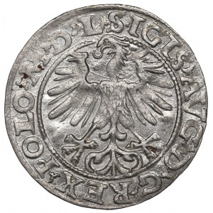 Sigismund II Augustus, Halfgroat 1563, Vilnius - L/LITV