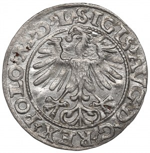 Sigismund II Augustus, Halfgroat 1563, Vilnius - L/LITV