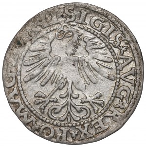 Sigismund II Augustus, Halfgroat 1563, Vilnius