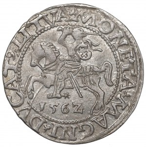 Sigismund II Augustus, Halfgroat 1562, Vilnius