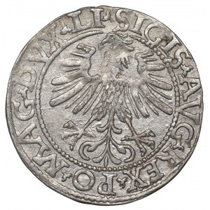 Sigismund II Augustus, Halfgroat 1562, Vilnius