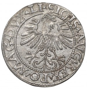 Sigismund II Augustus, Halfgroat 1562, Vilnius