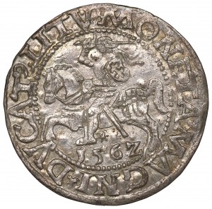 Sigismund II Augustus, Halfgroat 1562, Vilnius