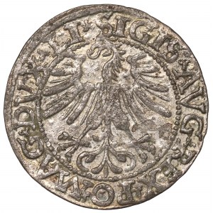 Sigismund II Augustus, Halfgroat 1562, Vilnius