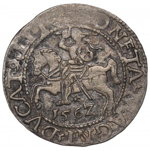 Sigismund II Augustus, Halfgroat 1562, Vilnius