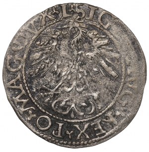 Sigismund II Augustus, Halfgroat 1562, Vilnius