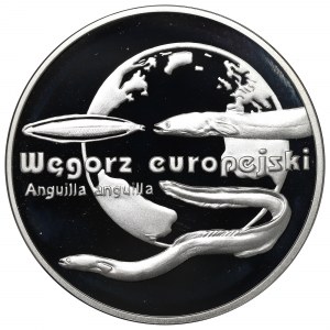 III RP, 20 PLN 2003 European eel