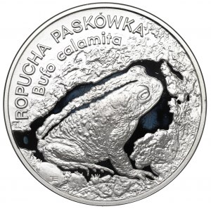 III RP, 20 złotych 1998 Ropucha Paskówka