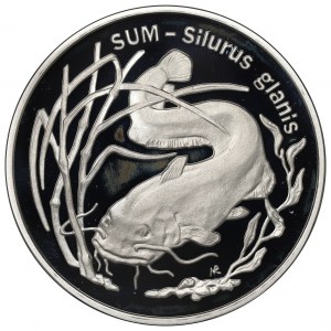 III RP, 20 złotych 1995 Sum