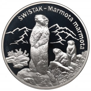 III RP, 20 zl 2006 Swistak