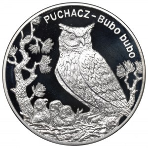 III RP, 20 zl 2005 - Puchacz